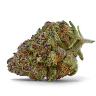 purple sunset by growerschoice feminized cannabis seeds