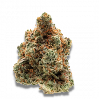 Monkey Glue Feminized cannabis seeds by Growerschoice.

