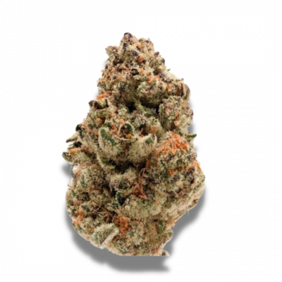 Rainbow Candy Feminized cannabis seeds by Growerschoice.

