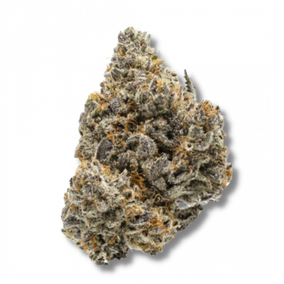 Rainbow Runtz, Growerschoice feminized cannabis seeds, gefeminiseerde wietzaden, feminisierte hanfsamen, semillas feminizadas, Graines Feminisees

