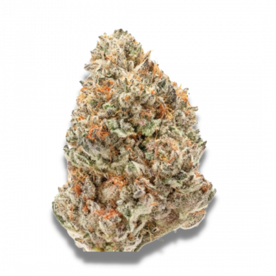 Watermelon Wedingcake, Growerschoice feminized cannabis seeds, gefeminiseerde wietzaden, feminisierte hanfsamen, semillas feminizadas, Graines Feminisees

